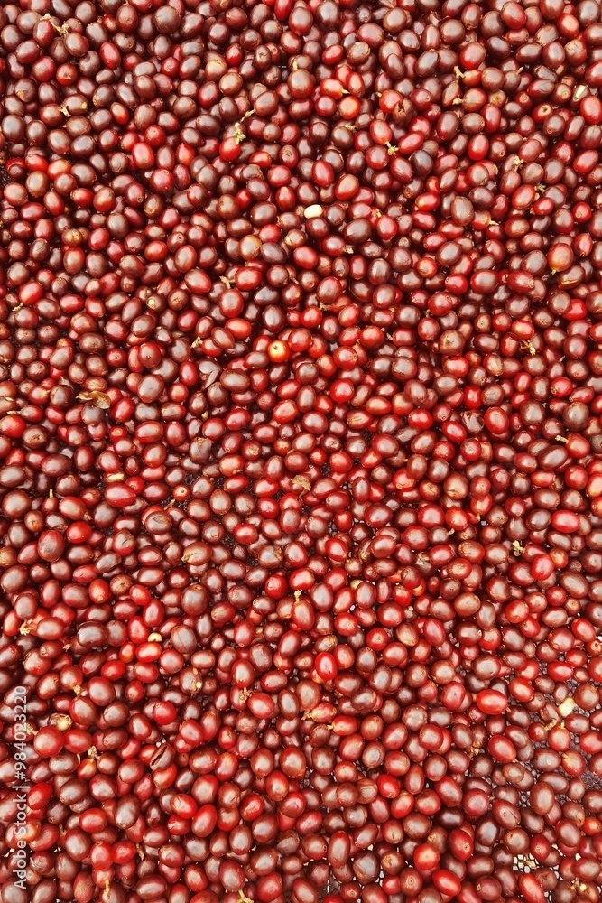 close up of fresh coffee beans for background close up of fresh coffee beans for background