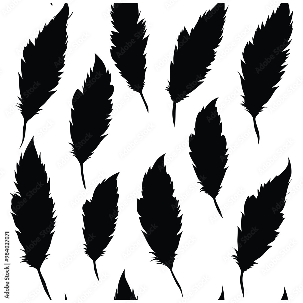 Obraz premium Seamless Fluffy Feathers and Plume Quills Silhouettes.
