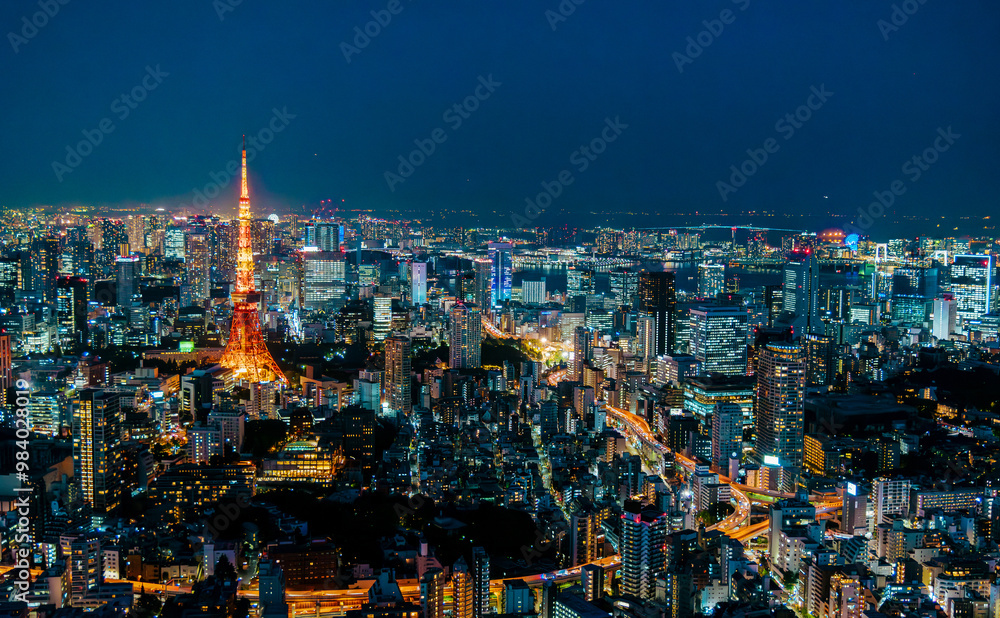 panoramic, tourist attractions in the city park of Tokyo, Asia business concept image, panoramic modern cityscape building in Japan. panoramic, tourist attractions in the city park of Tokyo, Asia business concept image, panoramic modern cityscape building in Japan.