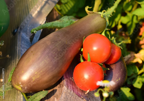 Melanzani und Tomaten in der Abendsonne photo