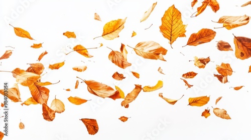 dynamic flat lay photograph of falling brown and orange leaves arranged on a white background, captured in a wide-angle perspective to emphasize the autumn beauty in a clean