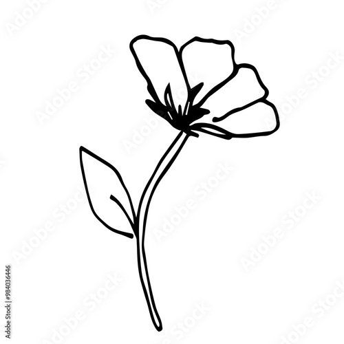 Simple hand drawn vector drawing with black outline. Flower on stem isolated on white background, ink sketch.