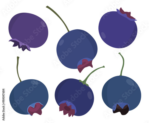 Blueberry fruit vector set cute cartoon style. isolated on white background.