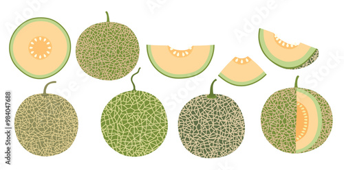Melon fruit vector set cute cartoon style. isolated on white background.