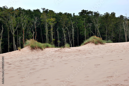 Obraz na płótnie Słowiński Park Narodowy jest położony w środkowej części polskiego wybrzeża. Jest położony w środkowej części polskiego wybrzeża. Charakterystycznym elementem parku jest wydmowy pas mierzei z ruchomym w salonie