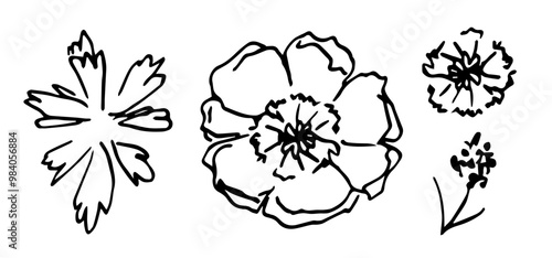 Simple hand drawn vector illustration with black outline. Anemone flower, poppy, leaves, twig. Flower set, ink sketch. Nature and vegetation.