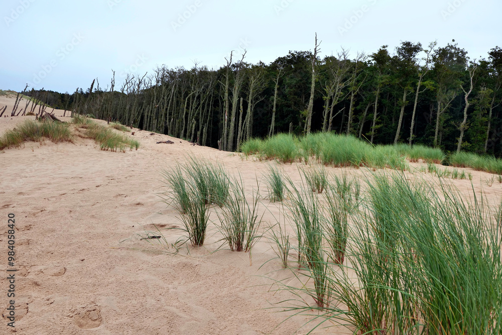 Słowiński Park Narodowy jest położony w środkowej części polskiego wybrzeża. Jest położony w środkowej części polskiego wybrzeża. Charakterystycznym elementem parku jest wydmowy pas mierzei z ruchomym