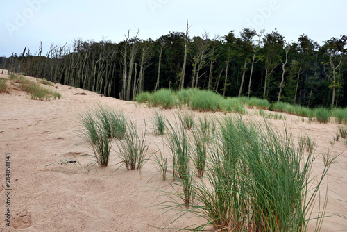 Słowiński Park Narodowy jest położony w środkowej części polskiego wybrzeża. Jest położony w środkowej części polskiego wybrzeża. Charakterystycznym elementem parku jest wydmowy pas mierzei z ruchomym
