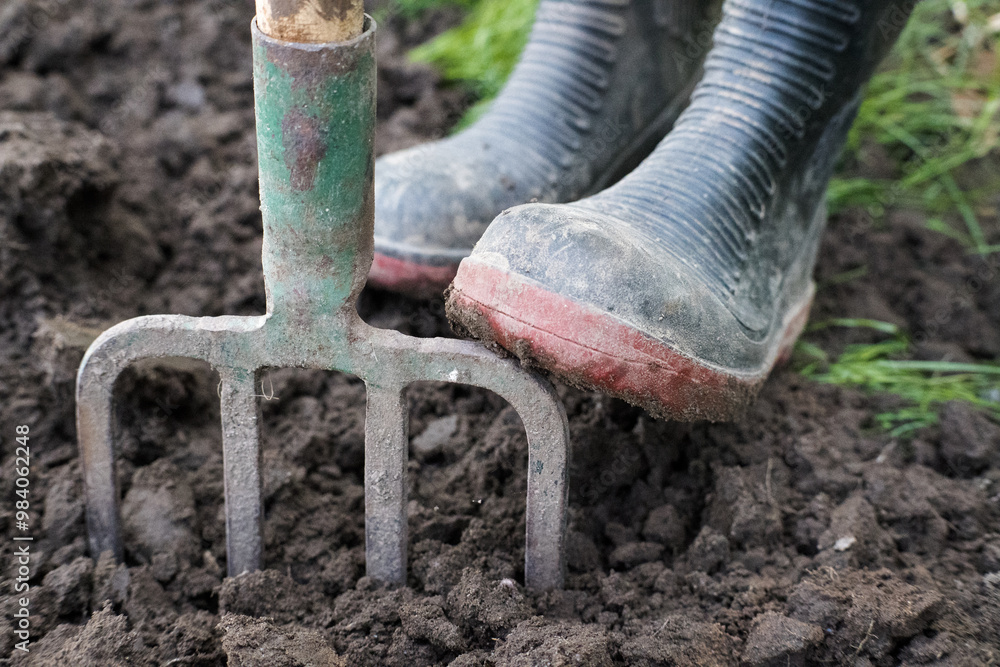 Working in the garden, loosening the soil.
Working in the garden, loosening the soil.