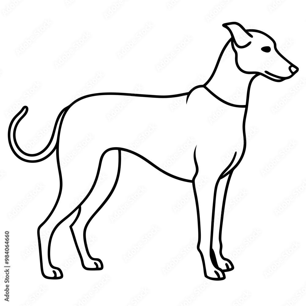 Obraz premium Dog line art silhouette with white background