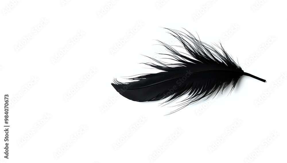 Elegant black feather on a white background, PNG format. Elegant black feather on a white background, PNG format.
