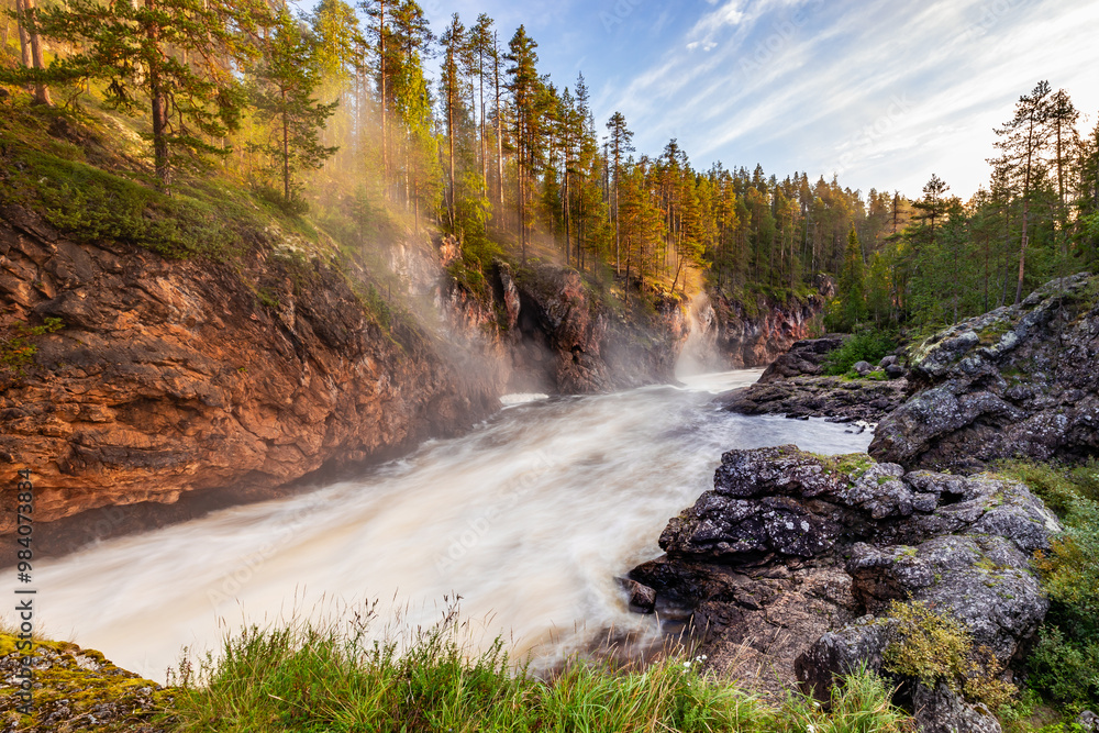 river in the forest