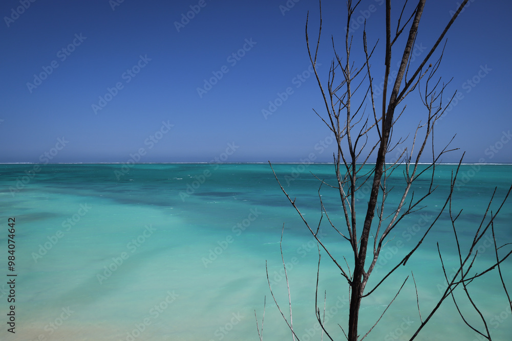 Fototapeta premium Scogliera rocciosa che si affaccia sul mare turchese, cielo blu senza nuvole e spiaggia bianca