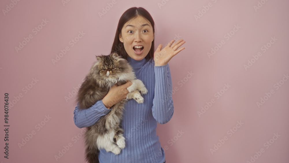 A young chinese woman holding a fluffy cat waves with a surprised expression against an isolated pink background. A young chinese woman holding a fluffy cat waves with a surprised expression against an isolated pink background.