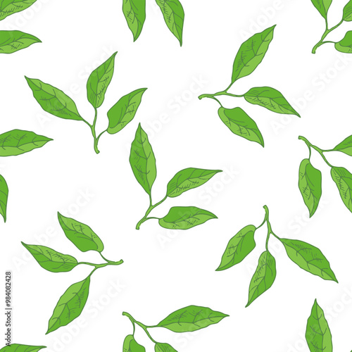 Hand drawn vector seamless pattern of lemon leaves.  Great for poster, menu or label.