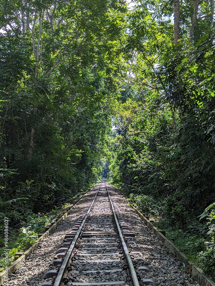 The rail line in the forest, Entrance alley to the Lawachara national park near Sreemangal, Bangladesh The rail line in the forest, Entrance alley to the Lawachara national park near Sreemangal, Bangladesh