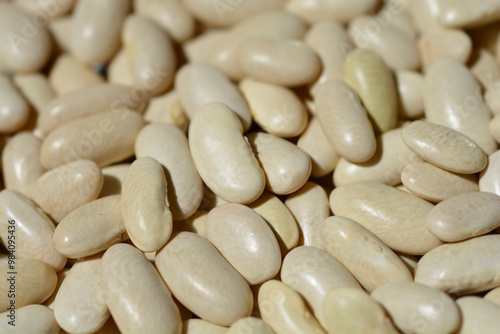 Detail of a surface covered with dry uncooked white beans