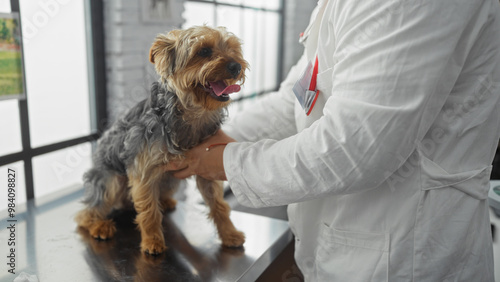 A man in a veterinary clinic helping a small dog on the examination table, showcasing interaction and care in a professional indoor setting.
