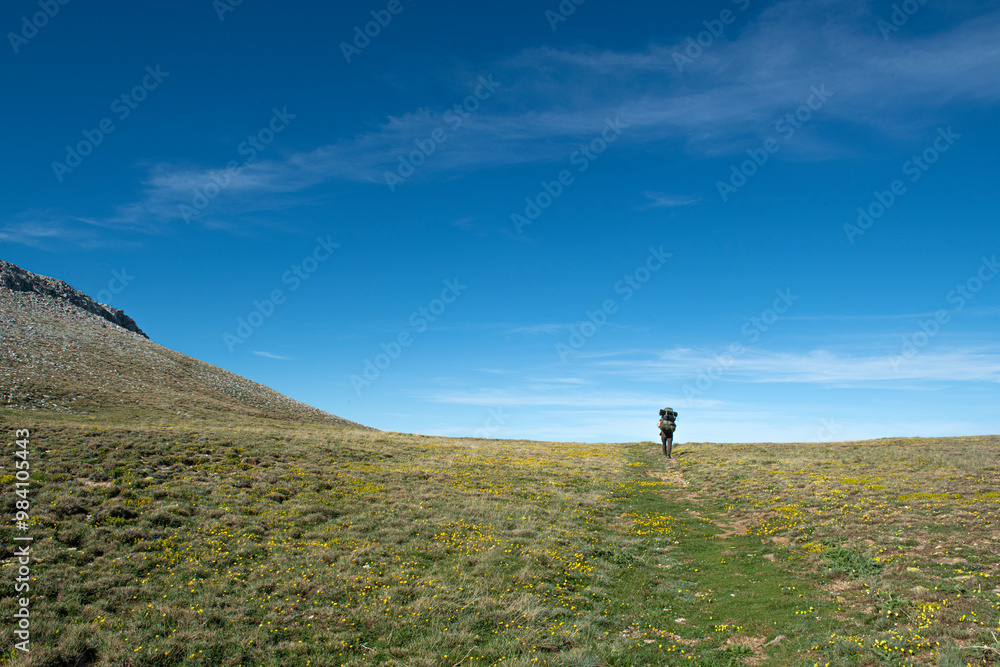 Fototapeta premium Uludag trekking routes. Mountaineers doing a trekking tour in sunny weather. Mountaineers going camping. Climbers walking with backpacks in high terrain.
