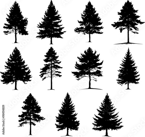 pine trees silhouette set illustration