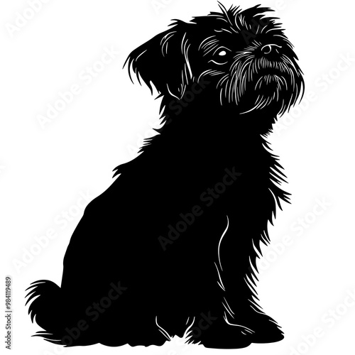 vector silhouette of a Affenpinscher