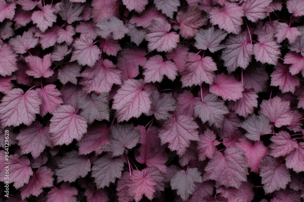 Obraz premium Wall of leaves in shades of pink and dark purple, creating a sophisticated and elegant botanical effect with detailed texture. 