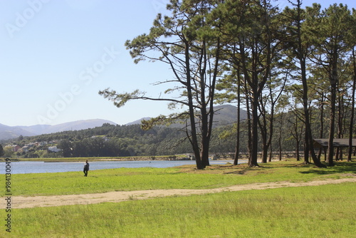 Ría de Navia en Asturias, arboleda y embalse.