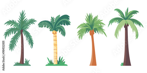 Set of vector illustrations with palm trees on a white background