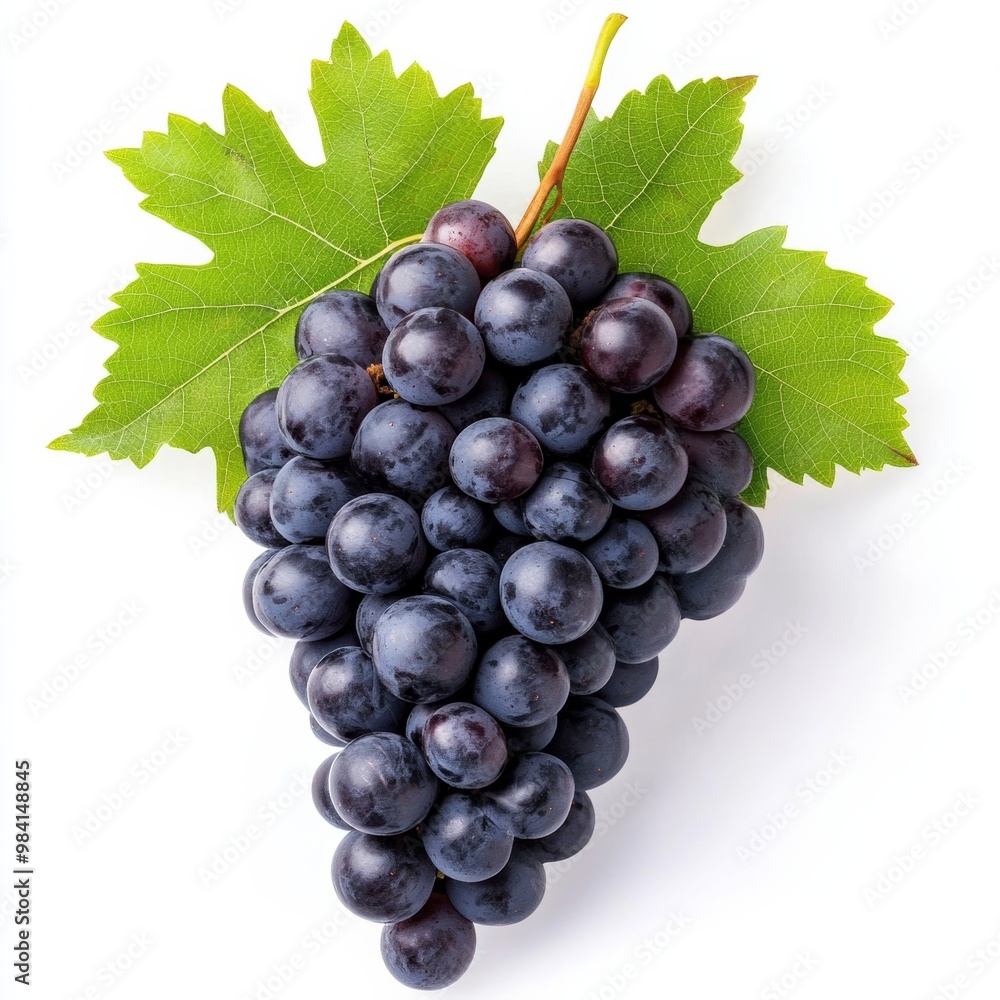 Fototapeta premium Cluster of deep purple grapes with autumn leaves attached isolated on white background 