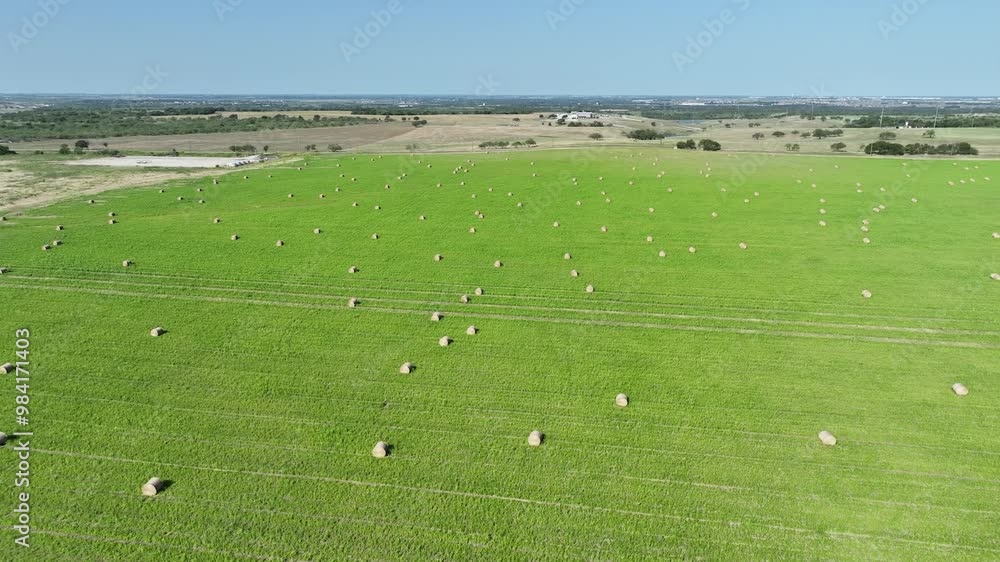 country field filled with hay bails country field filled with hay bails