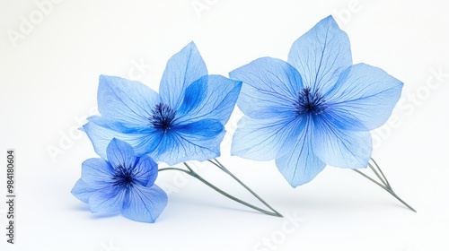 Fototapeta Naklejka Na Ścianę i Meble -  Surreal macro shot of three unique exotic blue flowers on a bright white background Vibrant and artistic design element