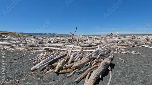 Driftwood on a pebble beach at Lake Ferry – Scenic Coastal Views of Palliser Bay and Whangaimoana Beach in Wairarapa, New Zealand photo