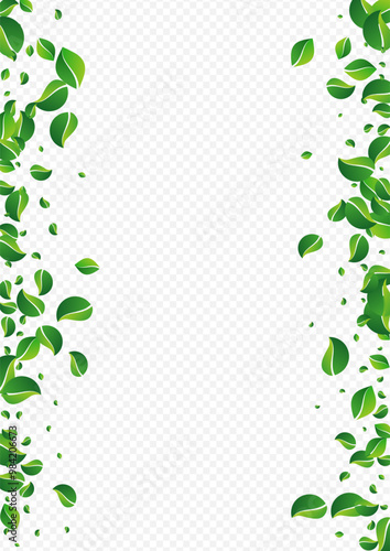 grad_1785x2526-06__list_11_01.eps