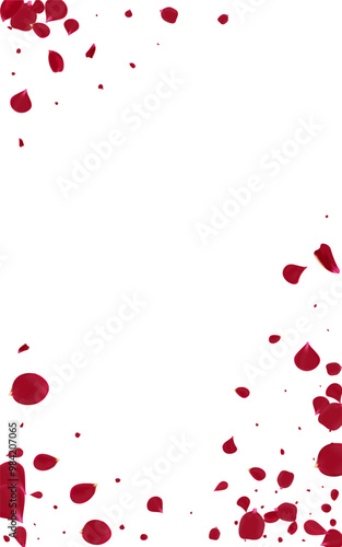 Red_Rose_Petal_Vector_Background_195.eps