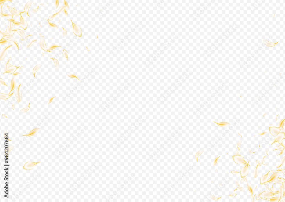 Fototapeta premium Yellow_petals_transparent_background_709.eps