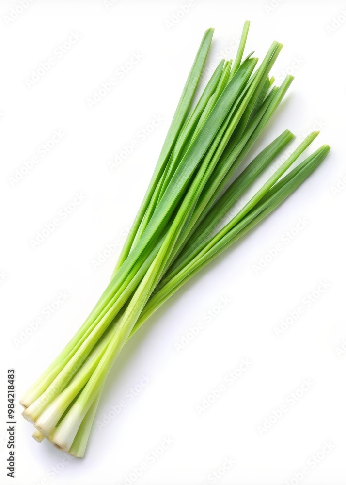 Fresh Lemongrass Isolated on White Background for Culinary and Aromatic Use Fresh Lemongrass Isolated on White Background for Culinary and Aromatic Use