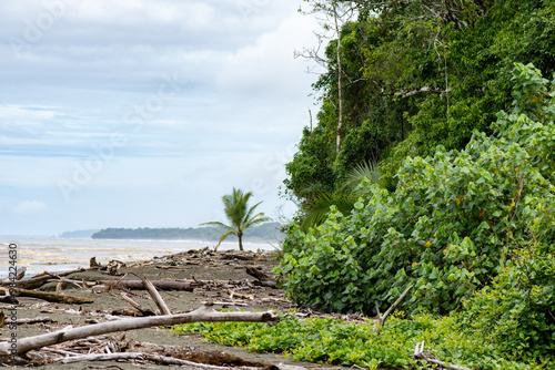 Playa en el Parque Nacional Corcovado, Costa Rica, rodeada de selva tropical y vegetación exuberante