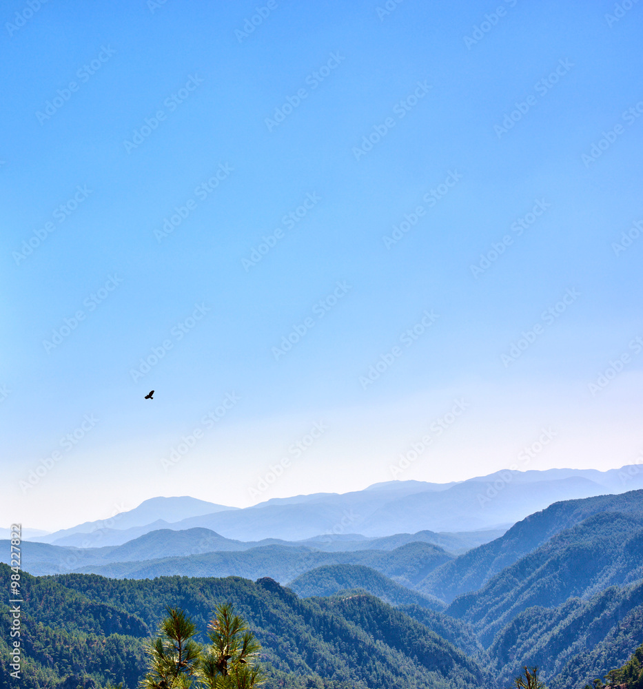 Blue sky, mountains and pine forest on landscape in nature for hiking, travel or mockup space in Turkey. Woods, hills and trees outdoor for tourism location, holiday or bird at national park with fog Blue sky, mountains and pine forest on landscape in nature for hiking, travel or mockup space in Turkey. Woods, hills and trees outdoor for tourism location, holiday or bird at national park with fog