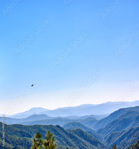 Blue sky, mountains and pine forest on landscape in nature for hiking, travel or mockup space in Turkey. Woods, hills and trees outdoor for tourism location, holiday or bird at national park with fog