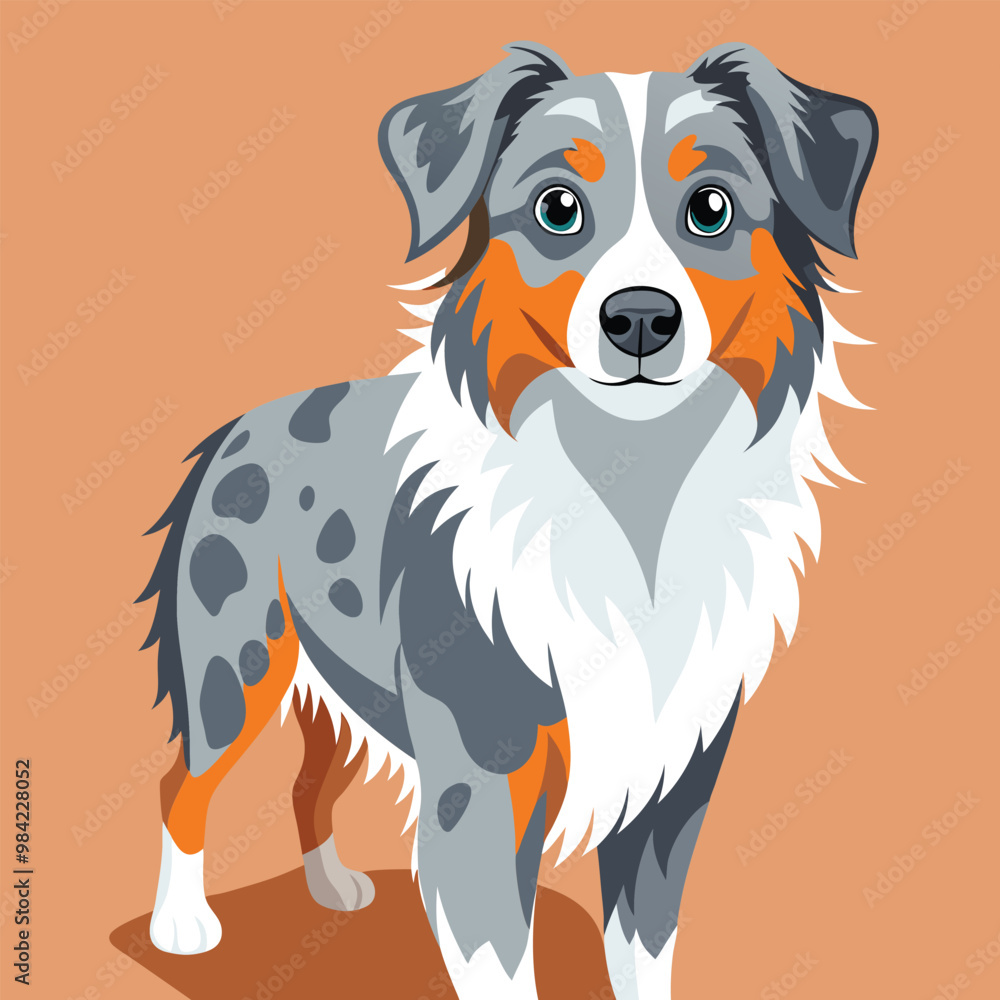 Vector Illustrations of Australian Shepherd with background, editable ...