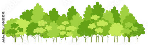 Green tree border. Forest foliage and coniferous plants in row. Forest trees panorama