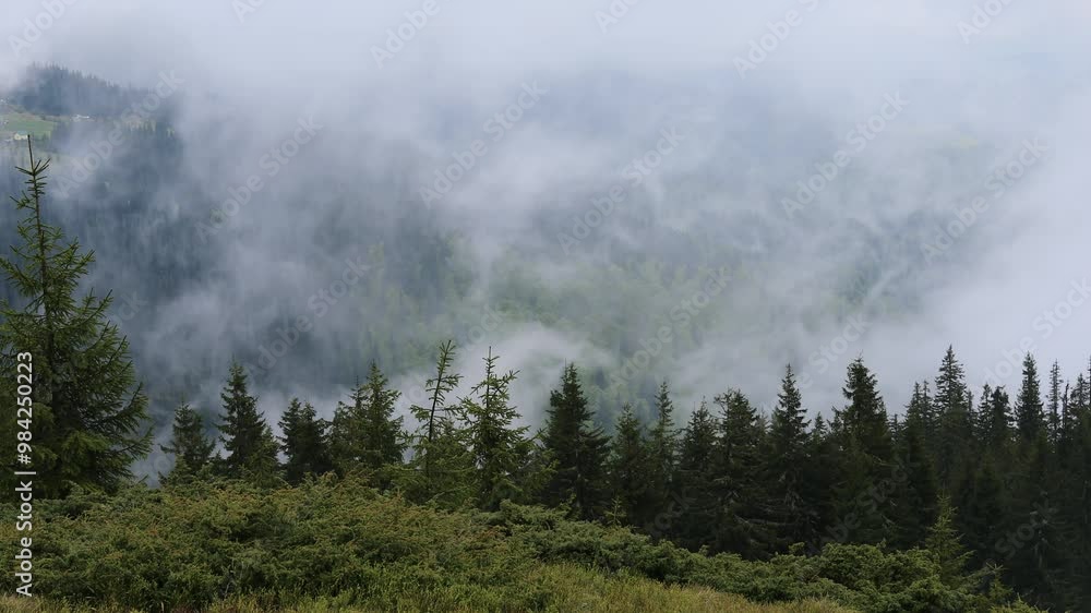Evaporation Fog Over the Ukrainian Carpathians After Early Spring Rain Evaporation Fog Over the Ukrainian Carpathians After Early Spring Rain