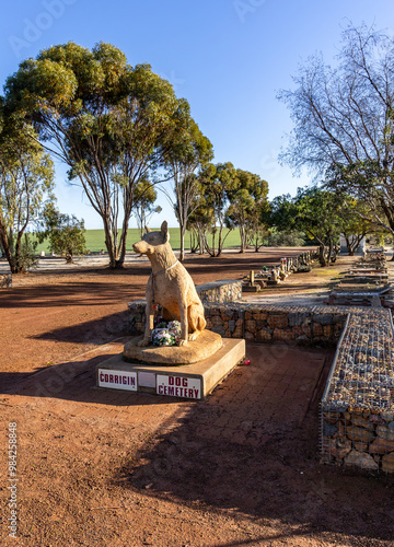 The dog cemetery near Corrigin Western Australia. photo