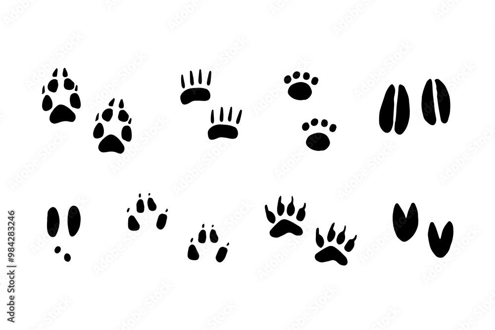 Set of animal paw prints in doodle style. Different animals footprints. Fox, bear, cat, lion, cat, tiger, dog, wolf, leopard, rabbit, deer. Hand drawn Set of animal paw prints in doodle style. Different animals footprints. Fox, bear, cat, lion, cat, tiger, dog, wolf, leopard, rabbit, deer. Hand drawn