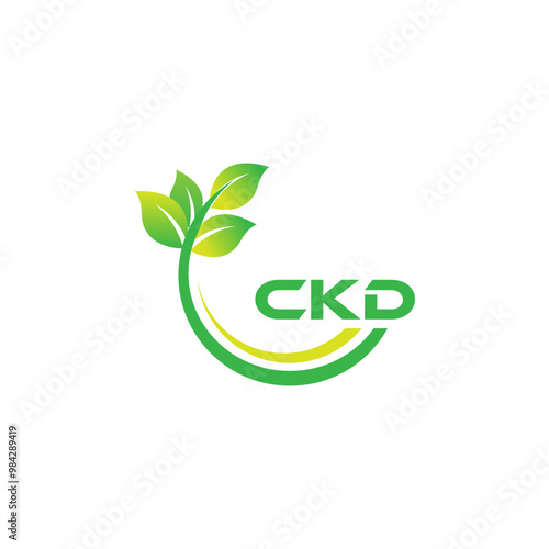 CKD Logo Design, Inspiration for a Unique Identity