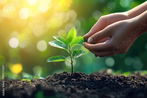 Farmer nurturing tree on fertile soil to protect nature.