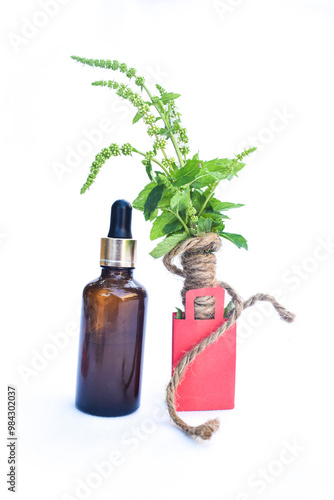 bottle of peppermint oil and fresh mint herbal, Mint oil in glass bottle and fresh peppermint leaf isolated on white background,  homiopathic mint branchs in pots photo