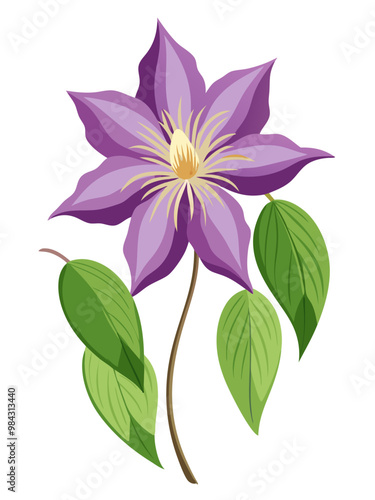 Stunning Clematis Flower Illustration - Rich Purple Blooms with Intricate Details and Lush Green Leaves, Ideal for Spring and Nature Themes, Clematis Vector Illustration, Clematis Illustration Vector