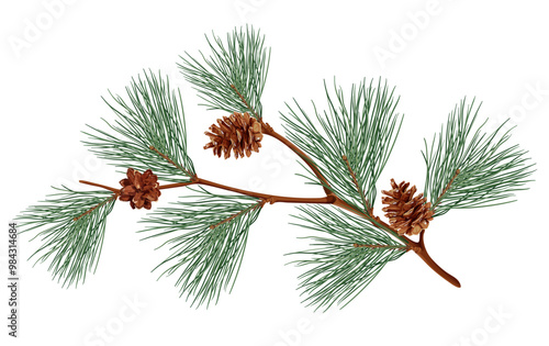 Realistic pine tree branch with brown cones, green pine needles, and detailed texture, perfect for nature and holiday-themed designs. Vector illustration.
