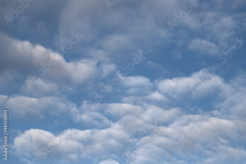 Beautiful blue sky with white Altocumulus undulatus clouds.